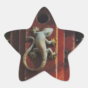 grey lizard on worn wood star sticker