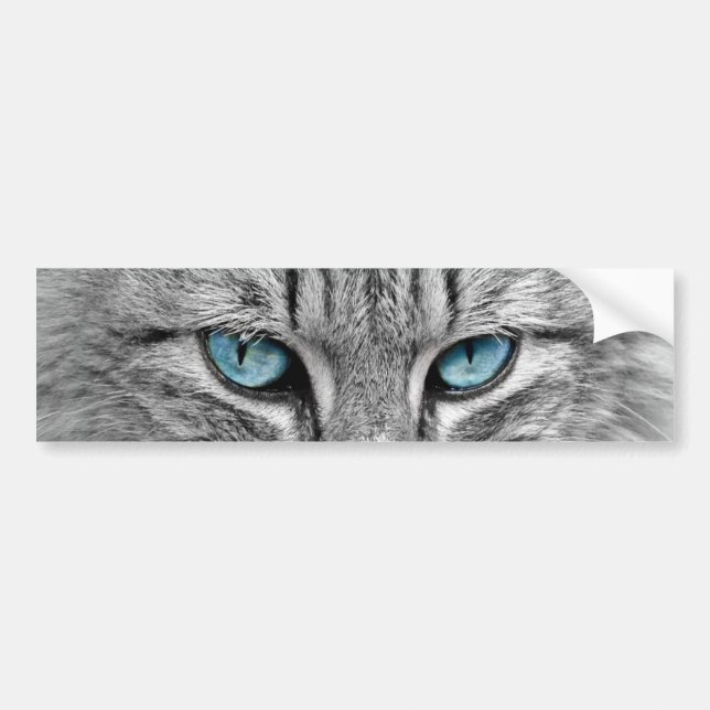 Grey Long  Hair Cat Blue Green Eyes Pet Animal Bumper Sticker (Front)
