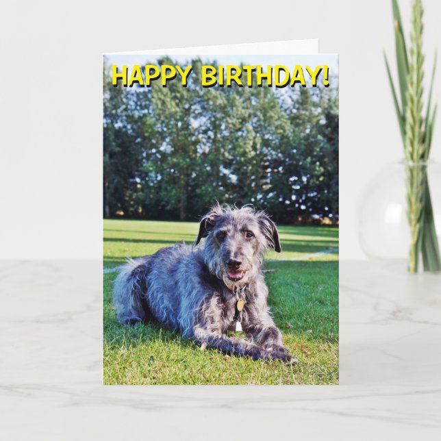 Grey lurcher customisable greetings card (Front)