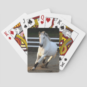 Grey Lusitano at Liberty Playing Cards