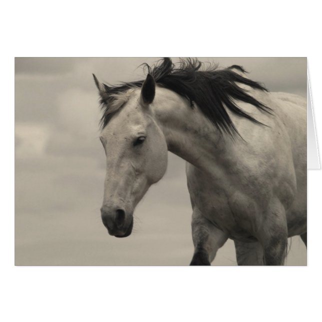 Grey Mare (Front Horizontal)