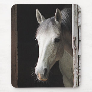 Grey Mare Horse Animals Mousepad