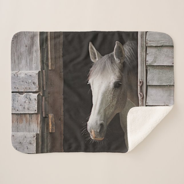 Grey Mare Horse Animals Sherpa Fleece Blanket (Front (Horizontal))