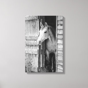 Grey Mare Horse & Barn Black and White Canvas Print
