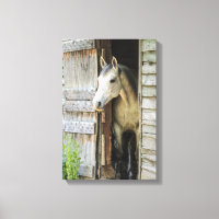Grey Mare Horse & Barn Rustic Canvas Print