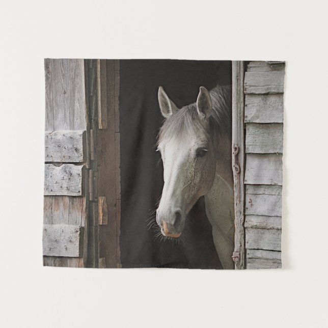 Grey Mare Horse Horses Animals Tapestry (Front (Horizontal))