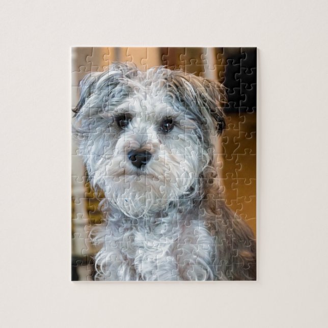 Grey Miniature Schnauzer Jigsaw Puzzle (Vertical)