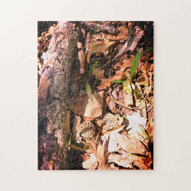 Grey Morel Patch Jigsaw Puzzle (Vertical)
