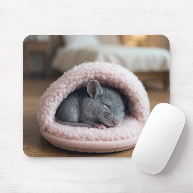 Grey Mouse Sleeping in a Pink Slipper Mat (With Mouse)