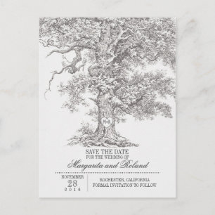 grey old oak tree save the date postcards