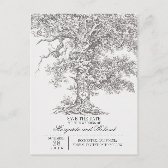 grey old oak tree save the date postcards (Front)