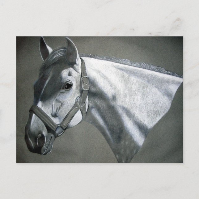 Grey on Grey Equine Art Postcard (Front)