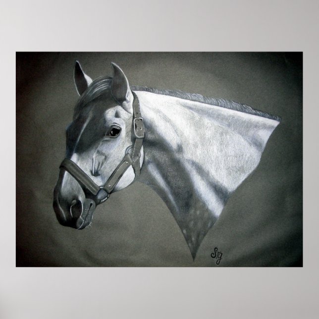 Grey on Grey Equine Art Poster (Front)