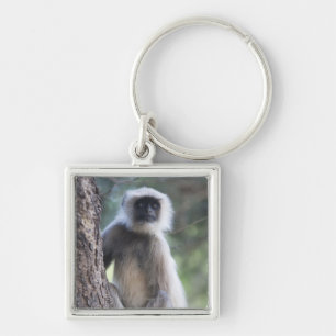 Grey or common or Hanuman langur Key Ring