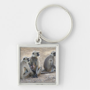 Grey or common or Hanuman langur (Semnopithecus) Key Ring