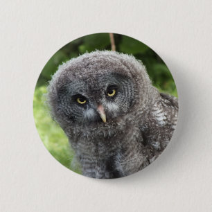 GREY OWL  6 CM ROUND BADGE