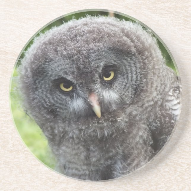 GREY OWL  COASTER (Front)