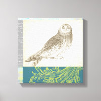 Grey Owl on Pattern Background