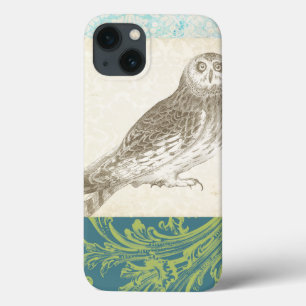 Grey Owl on Pattern Background iPhone 13 Case