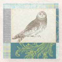 Grey Owl on Pattern Background