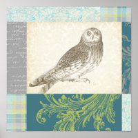 Grey Owl on Pattern Background