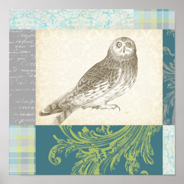 Grey Owl on Pattern Background Poster (Front)