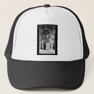 Grey Pack Wolf Alpha Wildlife Art Hat