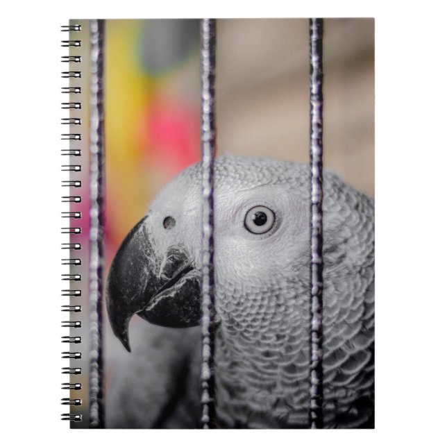 Grey Parrot Notebook (Front)