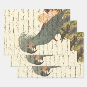 Grey Parrot with Flowers and Cursive Wrapping Paper Sheet