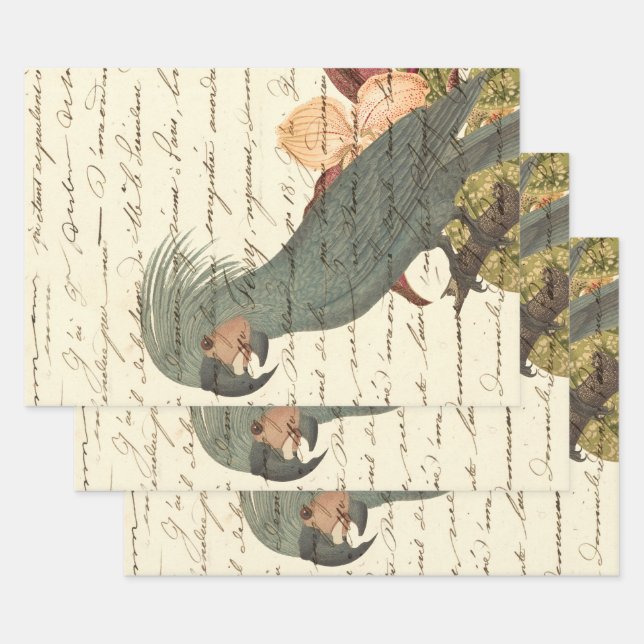 Grey Parrot with Flowers and Cursive Wrapping Paper Sheet (Set)
