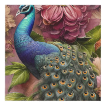 Grey Peacock Art Watercolor