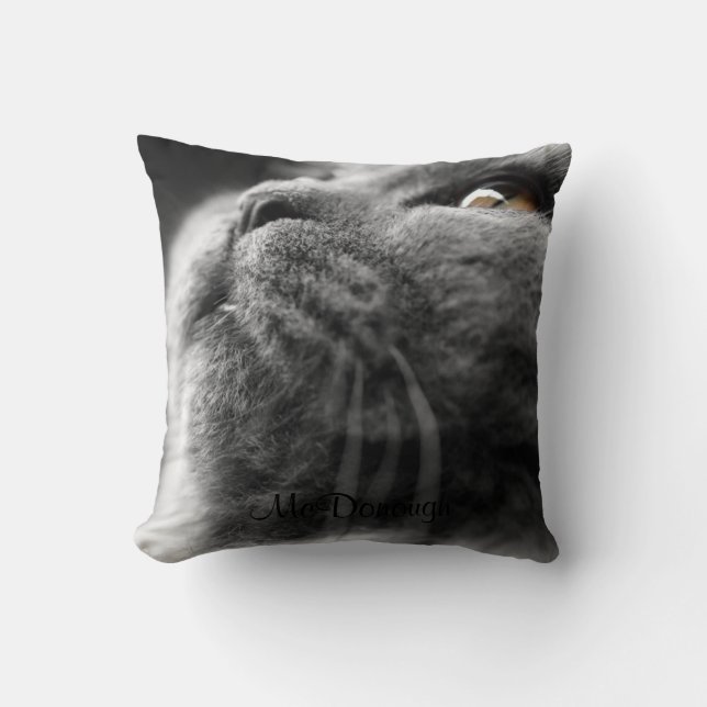 Grey Persian Cat Cushion (Front)