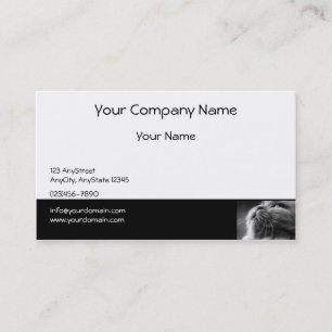 Grey Persian Cat on Black Border Business Card