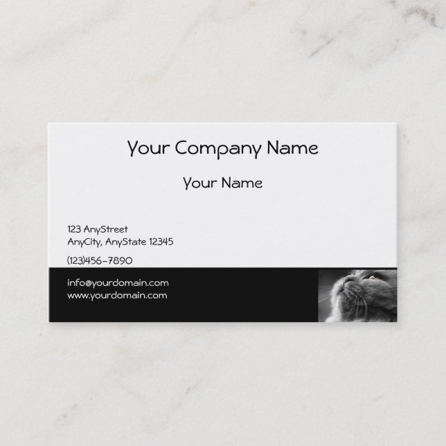 Grey Persian Cat on Black Border Business Card (Front)