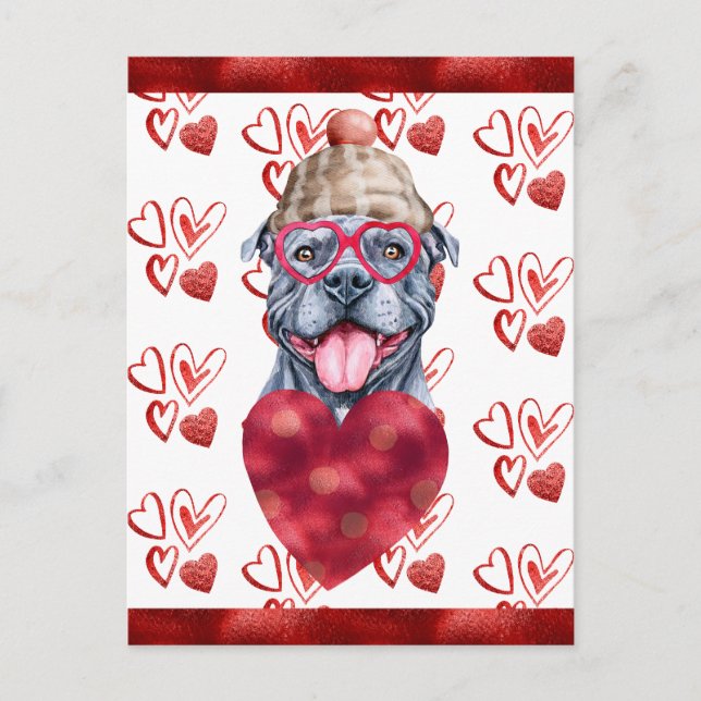 Grey Pitbull Hearts Dog Lover Valentine Gift Holiday Postcard (Front)