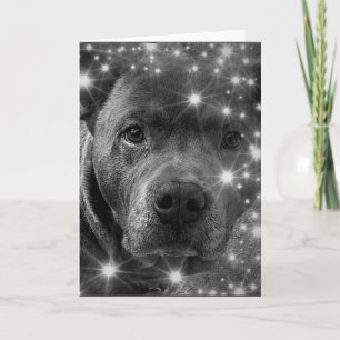 Grey Pitbull Terrier with Sparkles Dog Lover Card
