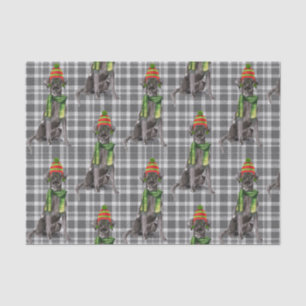 Grey Plaid with a Black Lab Dog Christmas Tissue Paper