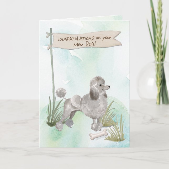 Grey Poodle Congratulations on New Dog Card (Front)