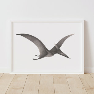 Grey Pteradactyl Dinosaur Poster Print