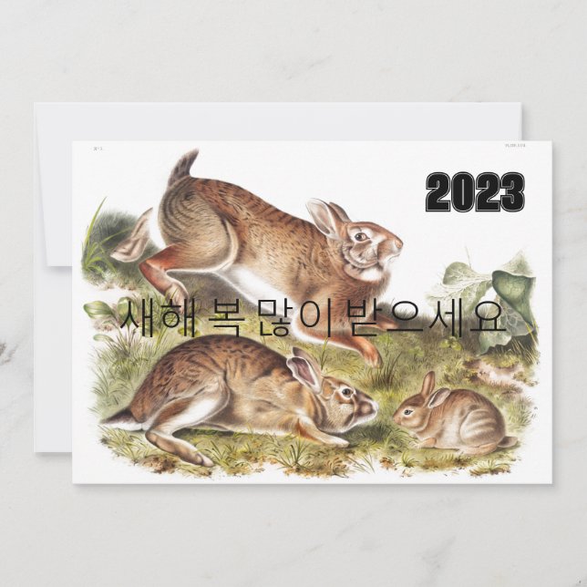 Grey Rabbit Happy New Year in Korean 2023 Invitation (Front)