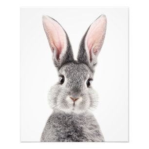 Grey rabbit with long pink ears photo print