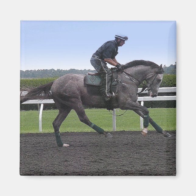 Grey race horse magnet (Front)