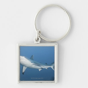 Grey reef shark (Carcharhinus amblyrhynchos) Key Ring