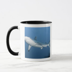 Grey reef shark (Carcharhinus amblyrhynchos) Mug