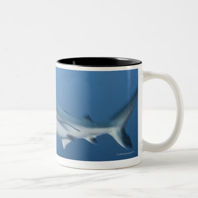 Grey reef shark (Carcharhinus amblyrhynchos) Two-Tone Coffee Mug (Right)