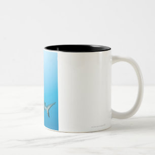 Grey reef sharks (Carcharhinus amblyrhnchos) Two-Tone Coffee Mug