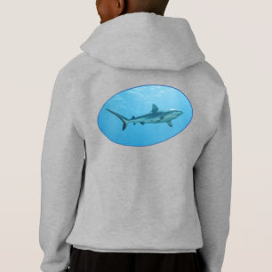 Grey Reefshark, Yap Island - Photographic design  