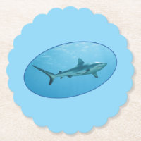 Grey Reefshark, Yap Island - Photographic design |