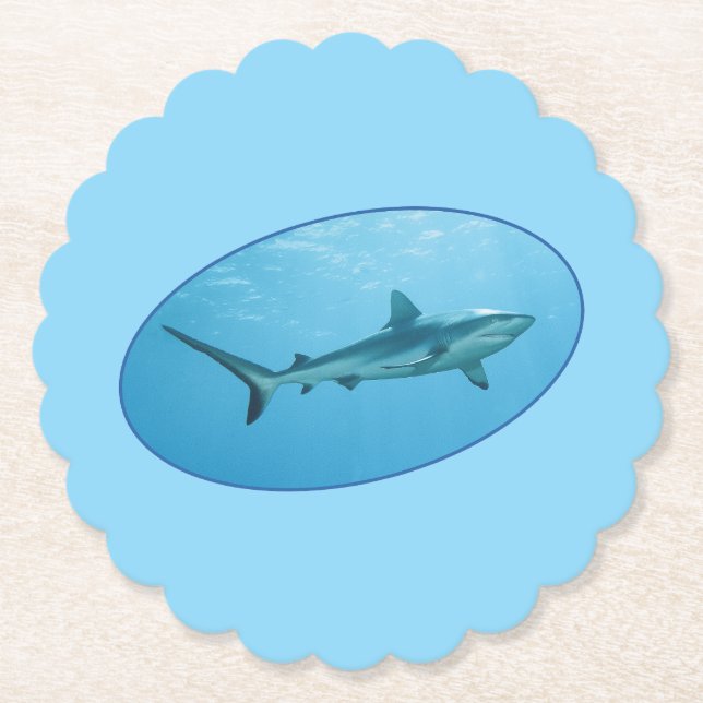 Grey Reefshark, Yap Island - Photographic design | Paper Coaster (Front)
