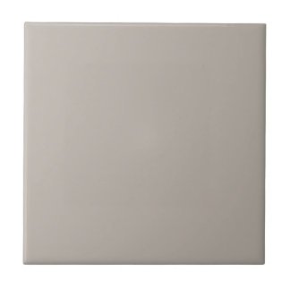 Grey Requisite Grey Square Kitchen and Bathroom Tile